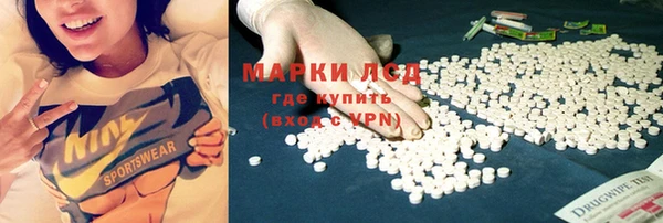 эйфоретик Баксан